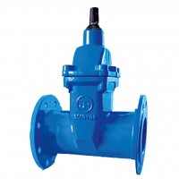 2002 Задвижка фланцевая F5 DN125 PN16 EN-GJS-400-15 EPDM JAFAR 2002 Задвижка фланцевая F5 DN125 PN16 EN-GJS-400-15 EPDM JAFAR