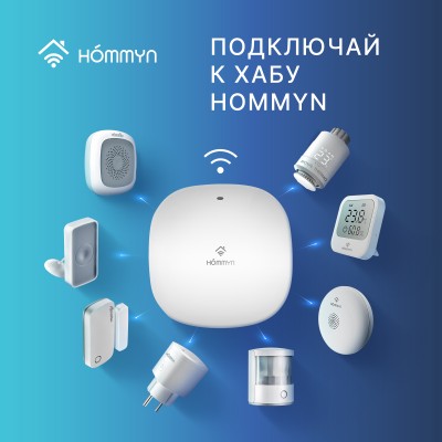 Блок управления (шлюз) Hommyn Hub HH-01